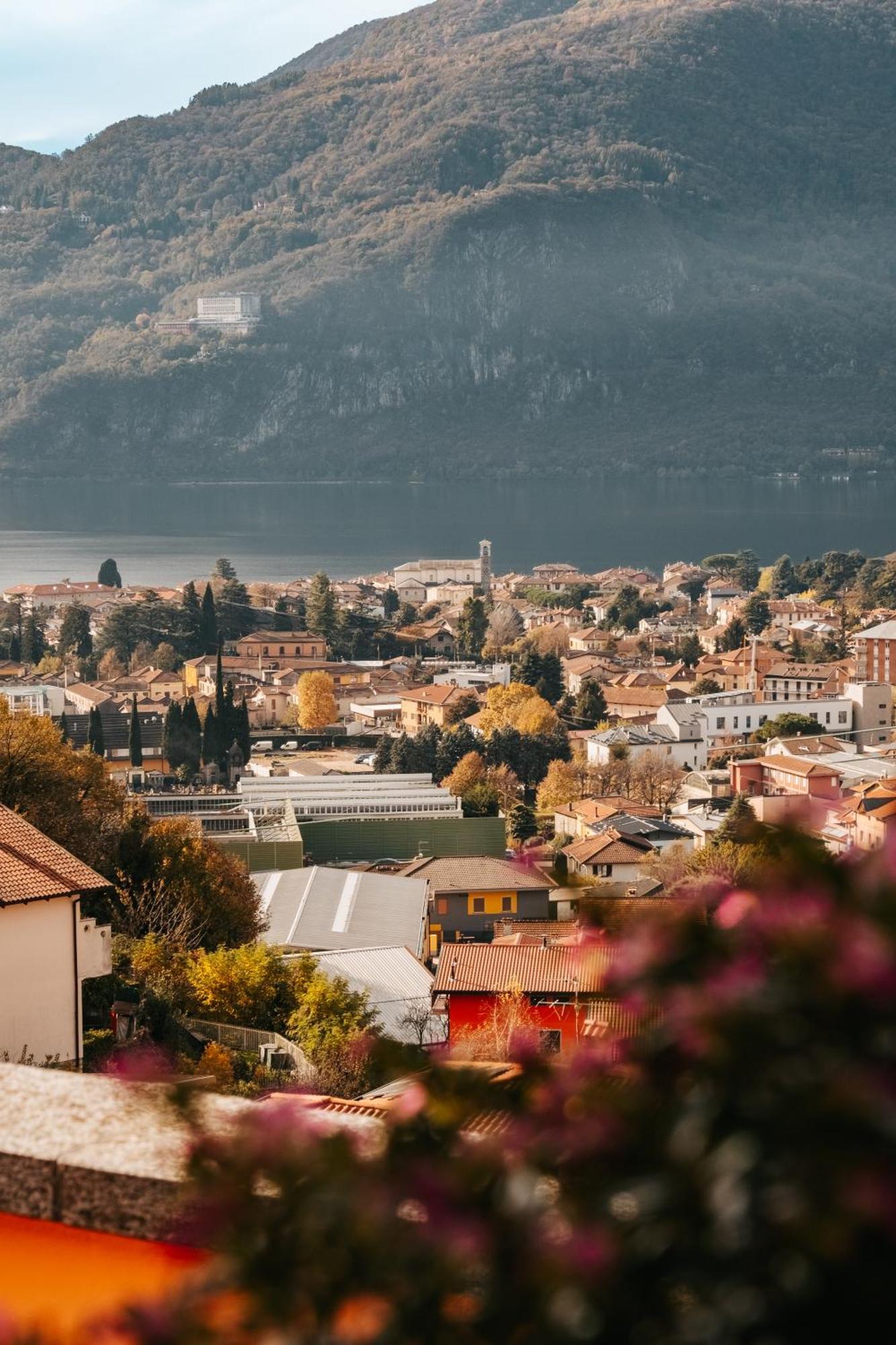 Larius Apartment - Como Lake View Mandello del Lario Eksteriør bilde